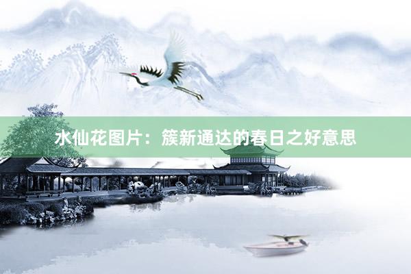 水仙花图片：簇新通达的春日之好意思